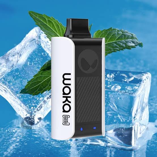 WAKA SOPRO Cool Mint - SUPERVAPE
