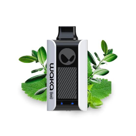 WAKA SOPRO Spearmint - SUPERVAPE