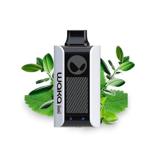 WAKA SOPRO Spearmint - SUPERVAPE